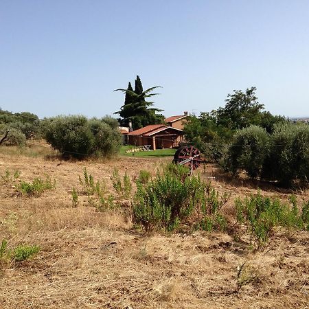 Agriturismo San Mauro Capalbio Eksteriør bilde