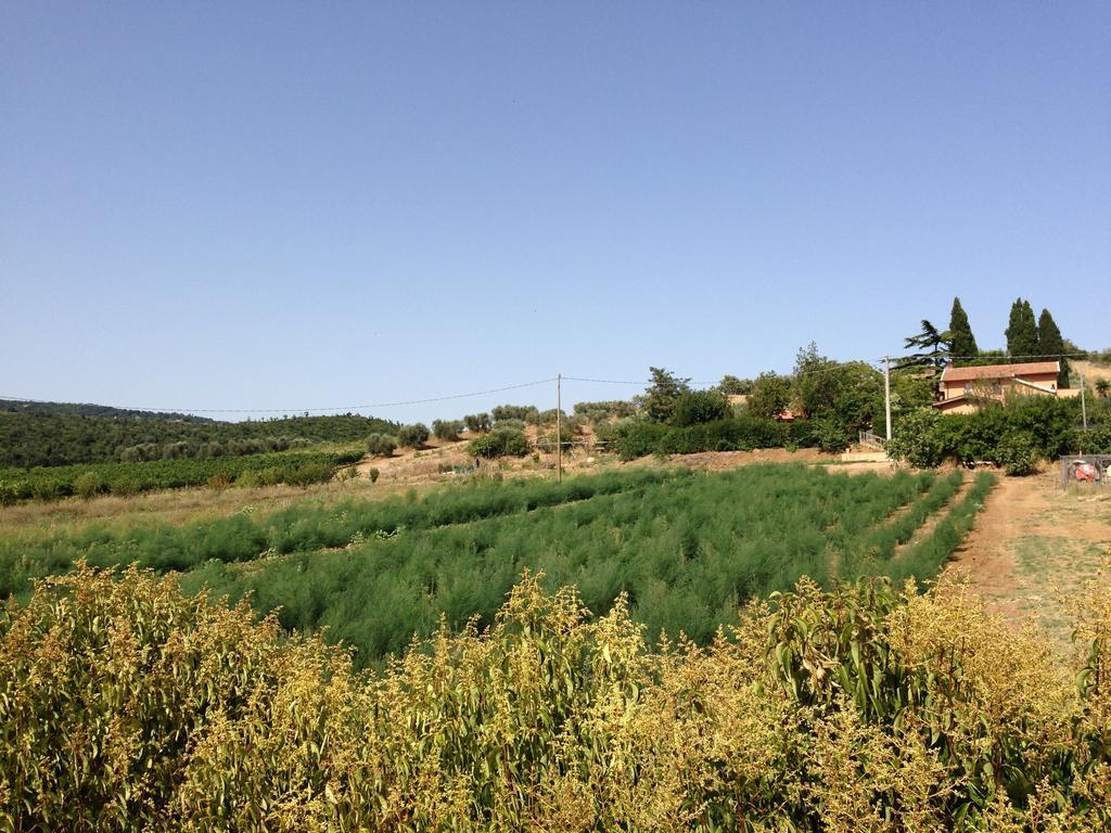 Agriturismo San Mauro Capalbio Eksteriør bilde