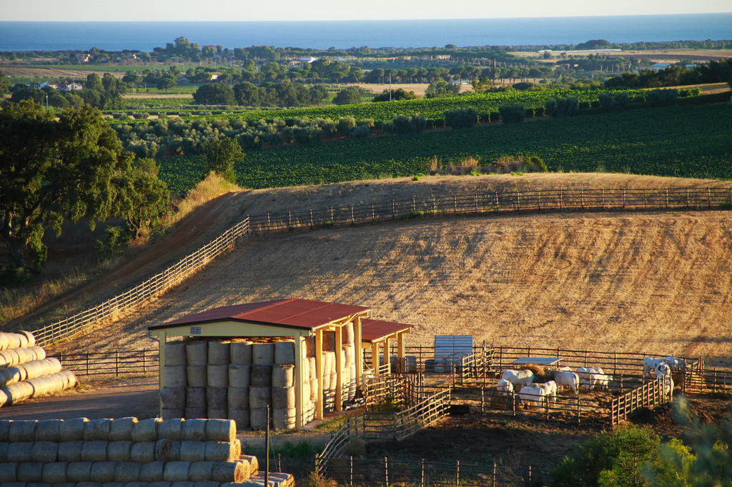 Agriturismo San Mauro Capalbio Eksteriør bilde