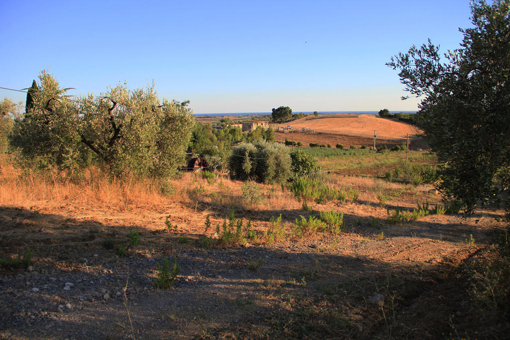 Agriturismo San Mauro Capalbio Eksteriør bilde